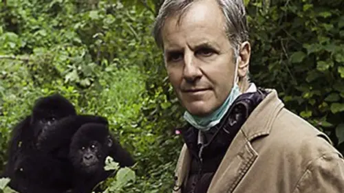 Bernard de La Villardière à la découverte des grands singes