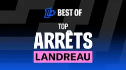 Best of Ligue 1 Top arrêts Mickaël Landreau