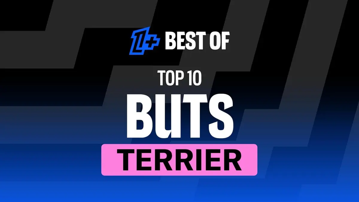 Best of Ligue 1 S01E11 Top 10 buts Martin Terrier