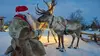 2025 • Bestiaire de Noël : Entre le renne et l'âne gris