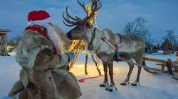 Visuel de Bestiaire de Noël : Entre le renne et l'âne gris
