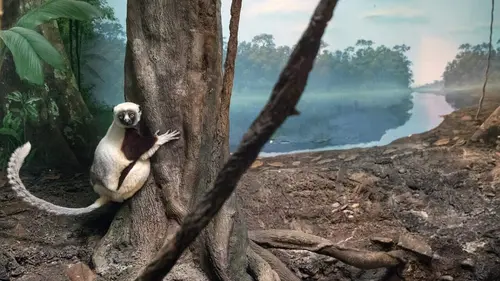 Bestialement photogénique Eric Pillot