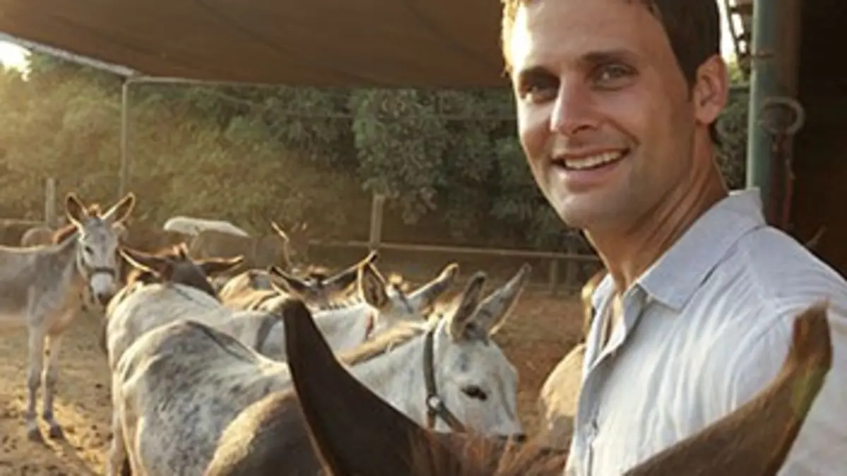 Bêtes curieuses Israël