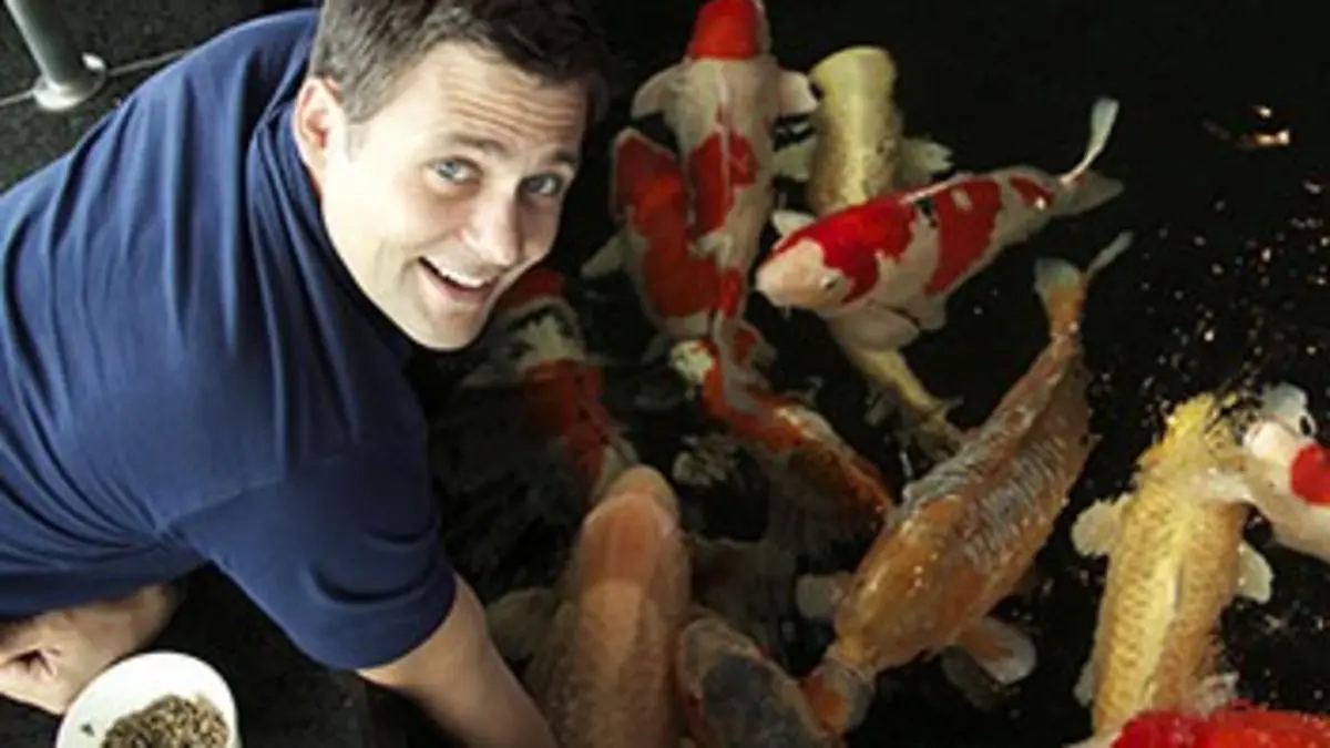 Bêtes curieuses Japon