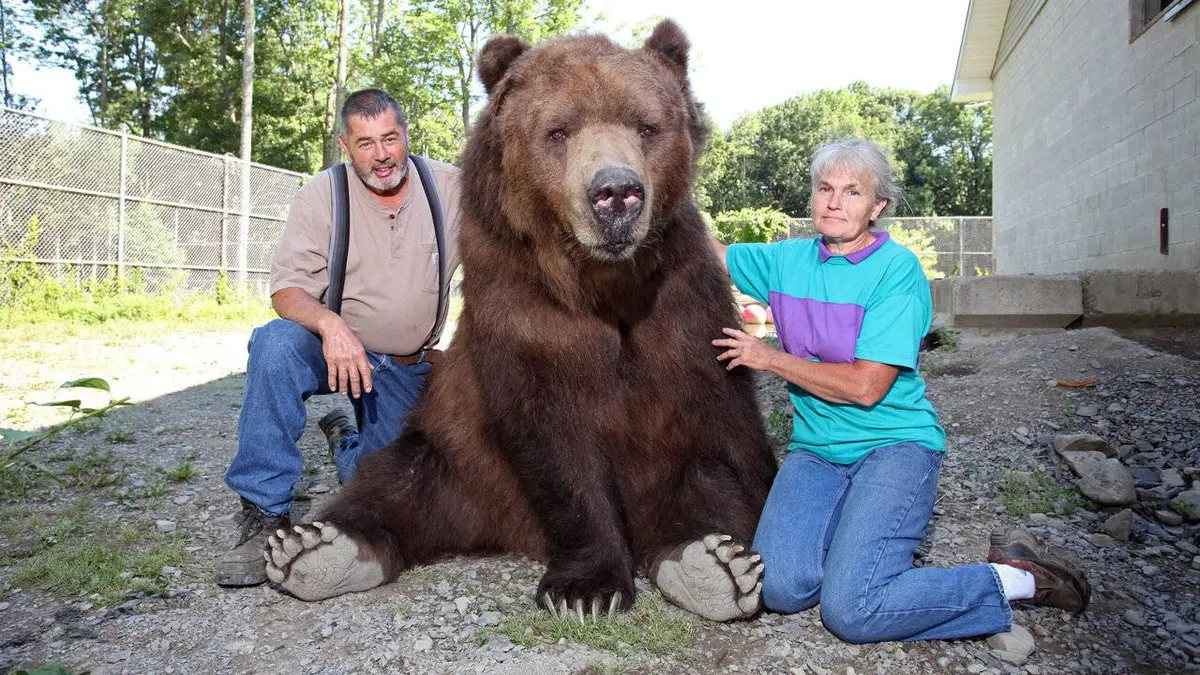 Bêtes de copains ! E01 Our Big Bear Family