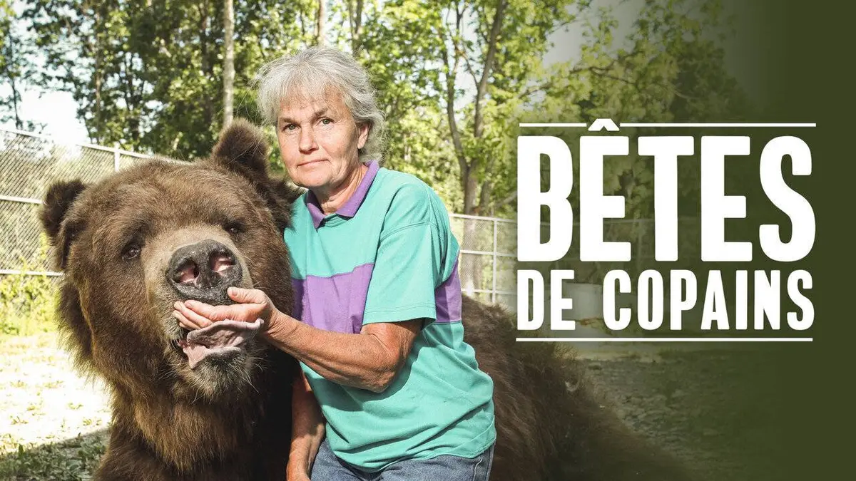 Bêtes de copains ! E02 We Live with 220 Lions and Tigers