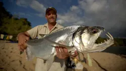 Bêtes de poissons Le poisson vampire
