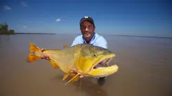 Bêtes de poissons Frankenfish