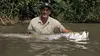 Bêtes de poissons