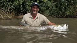 Visuel de Bêtes de poissons