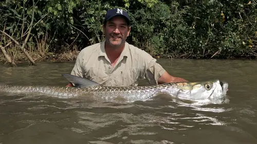 Bêtes de poissons Le tarpon géant