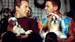 Bêtes de scène en streaming