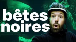 Bêtes noires