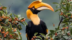 Bhoutan, le royaume dans le ciel