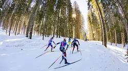 Visuel de Championnats du monde
