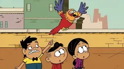 Bienvenue chez les Casagrandes  S02E18 Lalo star