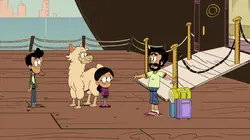 Bienvenue chez les Casagrandes S03E17 Perfide alpaga / La galère des étoiles