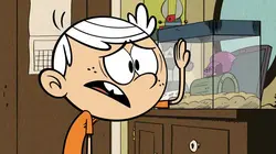 Bienvenue chez les Loud