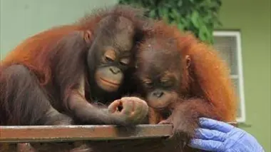 Deux poids deux mesures