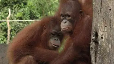 Deux adolescentes très précoces