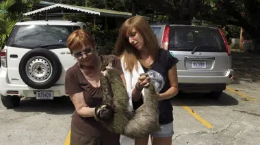Retour à l'état sauvage