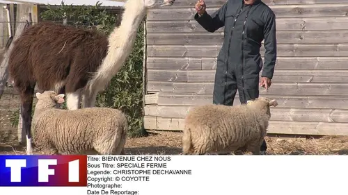 Bienvenue chez nous La Finale