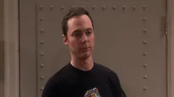 Big Bang Theory S10E18 Un toit pour Rajesh