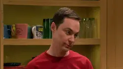 Big Bang Theory S11E12 L'indicateur matrimonial