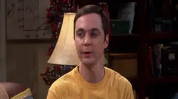 Big Bang Theory S05E15 Le contrat d'amitié