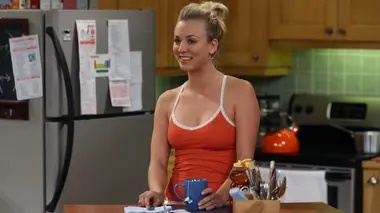Big Bang Theory S02E14 Petites dettes entre amis
