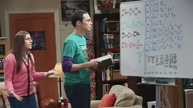 Big Bang Theory S06E24 Bon voyage !