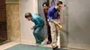 le professeur Crawley dans Big Bang Theory S03E02 Le grillon des champs (2009)