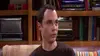 Big Bang Theory S02E13 L'algorithme de l'amitié