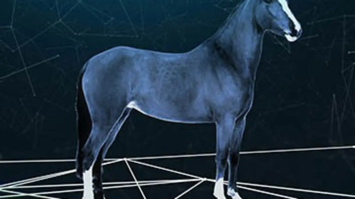 Big History: Une nouvelle histoire de l'humanité Le cheval