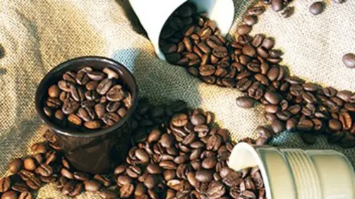 Big history : une nouvelle histoire de l'humanité La caféine