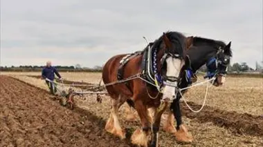 Big history : une nouvelle histoire de l'humanité