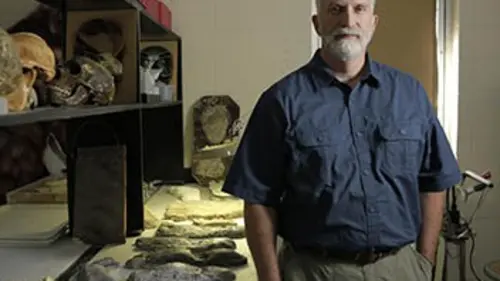 Bigfoot, en quête de preuves