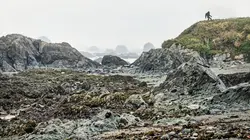 Bigfoot : mythe ou réalité ?