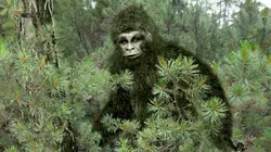 Bigfoot : terreur en Alaska