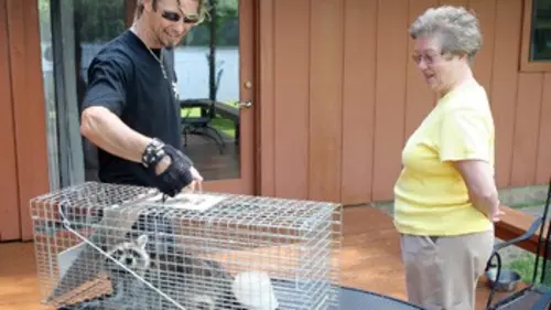 Billy l'exterminateur S01E09 L'invasion des ratons-laveurs