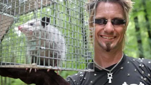 Billy l'exterminateur S01E12 Cafards géants et castor travailleur