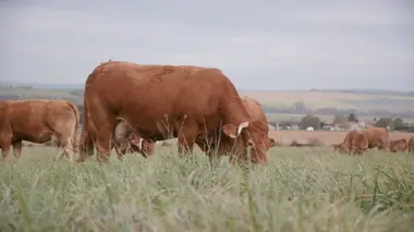 Bio, la crise de foi
