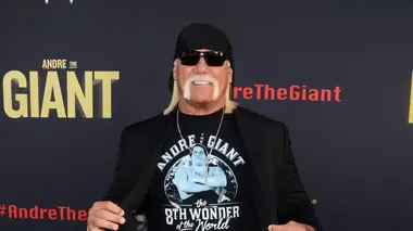 Biographies WWE S03E01 nWo