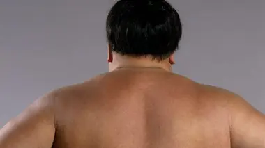 Biographies WWE S03E08 Yokozuna