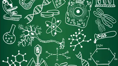 Biologie 2.0 E01 Faire evoluer l'evolution
