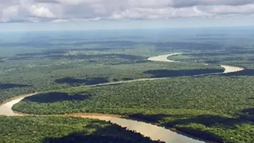 Biotiful planète S03E02 Bassin du Congo