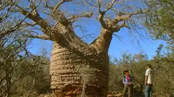 Visuel de Biotiful planète