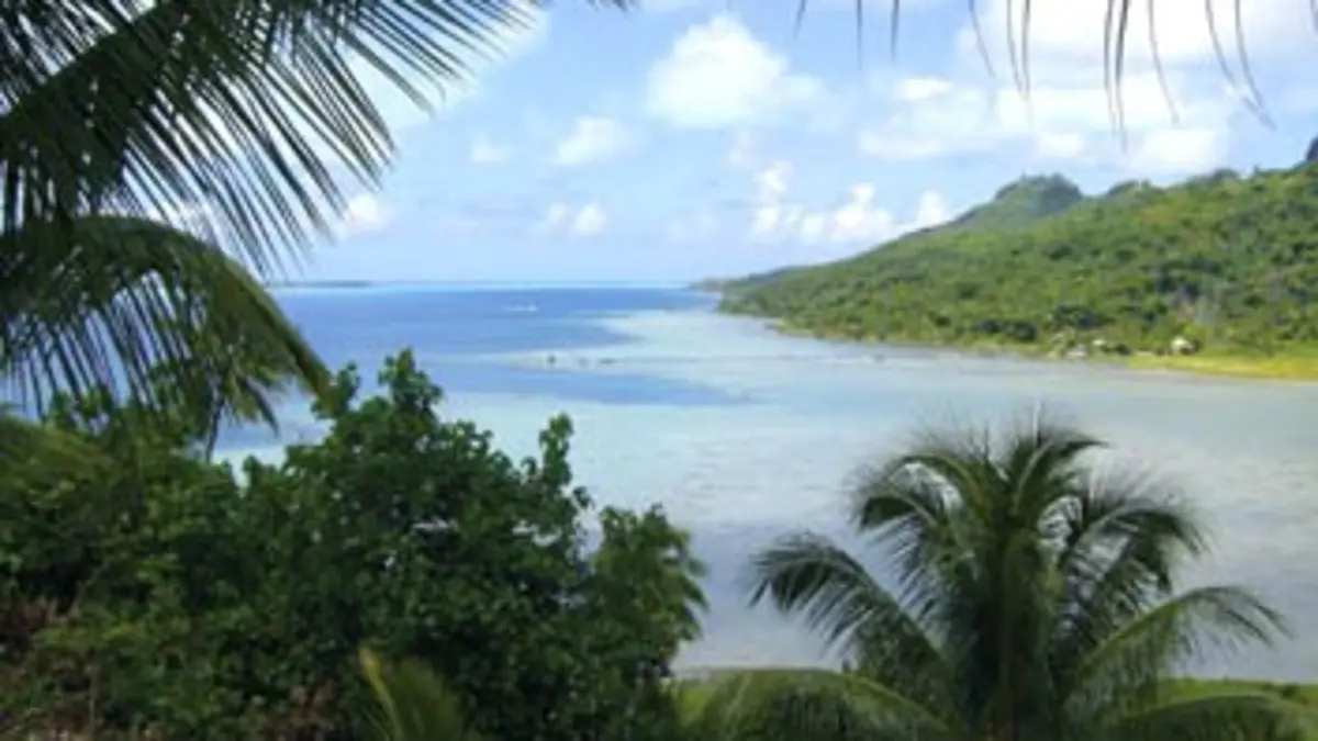 Biotiful planète S02E03 Polynésie