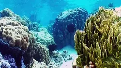 Visuel de Biotiful planète