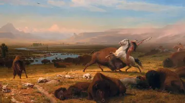 Bison : une histoire de l'Amérique Mémoire de sang